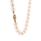 Cultured White Pearls 14kt YG Lock 7-8mm 18" NE00119